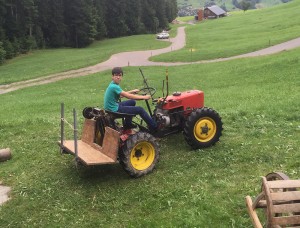 Ruchweid Traktor Bauernhof Nestenberg