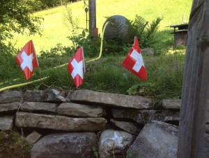 Ruchweid Schweizerfahne Erstaugust